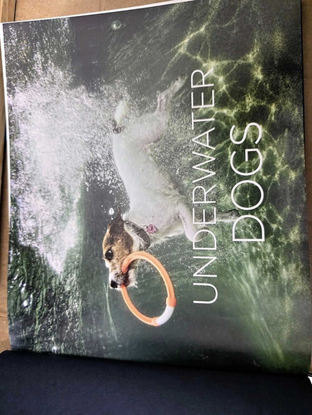 Little, Brown and Company Underwater Dogs by Seth Casteel Photography Book